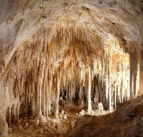 carlsbad caverns national park, nm