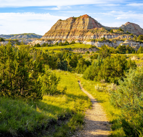 theodore roosevelt national park, nd